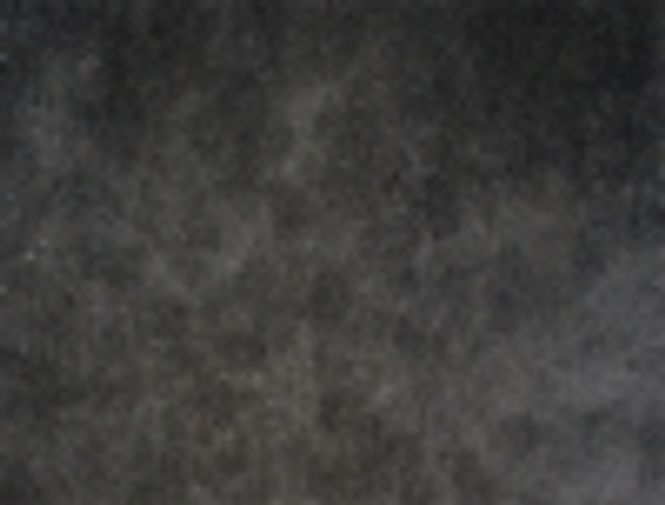 Hovedbilde Selskinn Svart