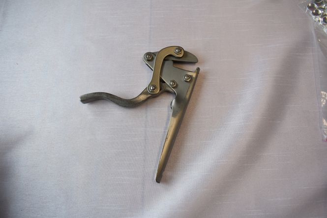 Hovedbilde Gjelltang