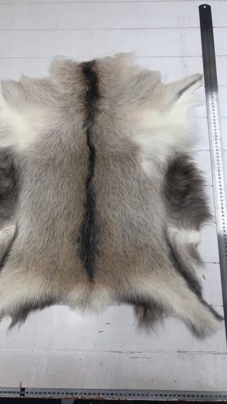 Killingskinn spraglet