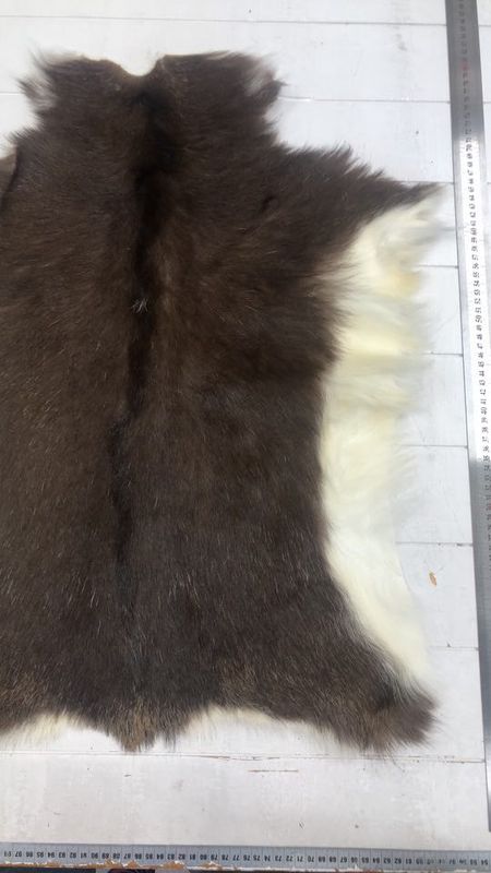 Killingskinn spraglet