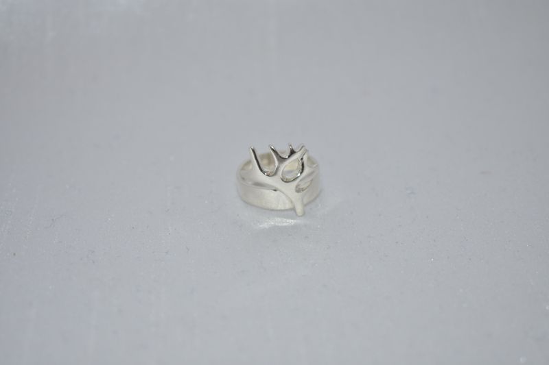 Ring 8 